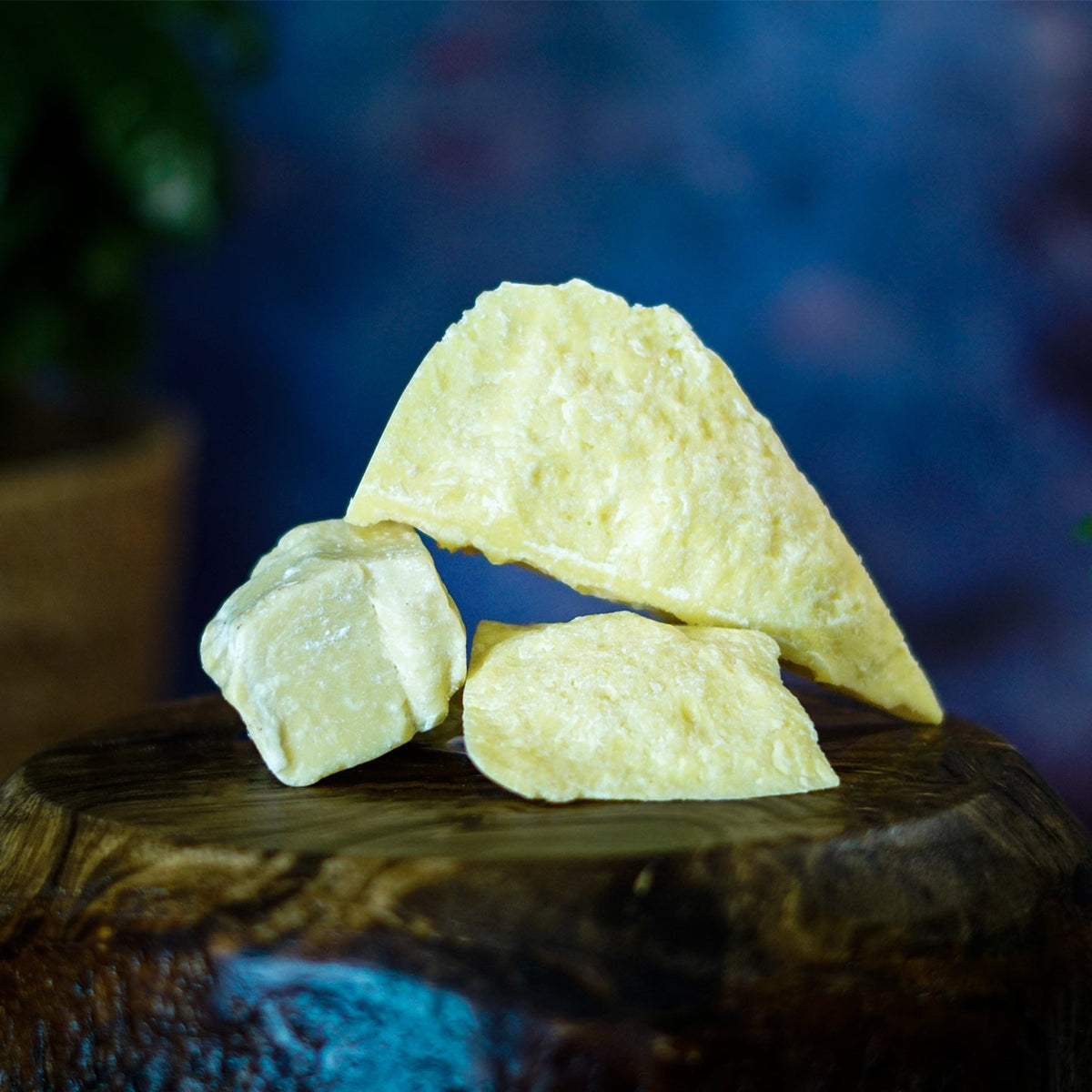 Manteiga de Cacau 200g