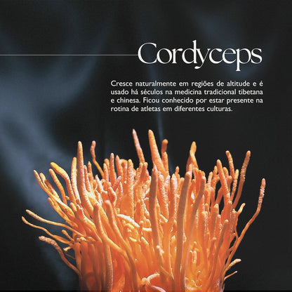 Cacau com Cogumelos Orgânico 100g