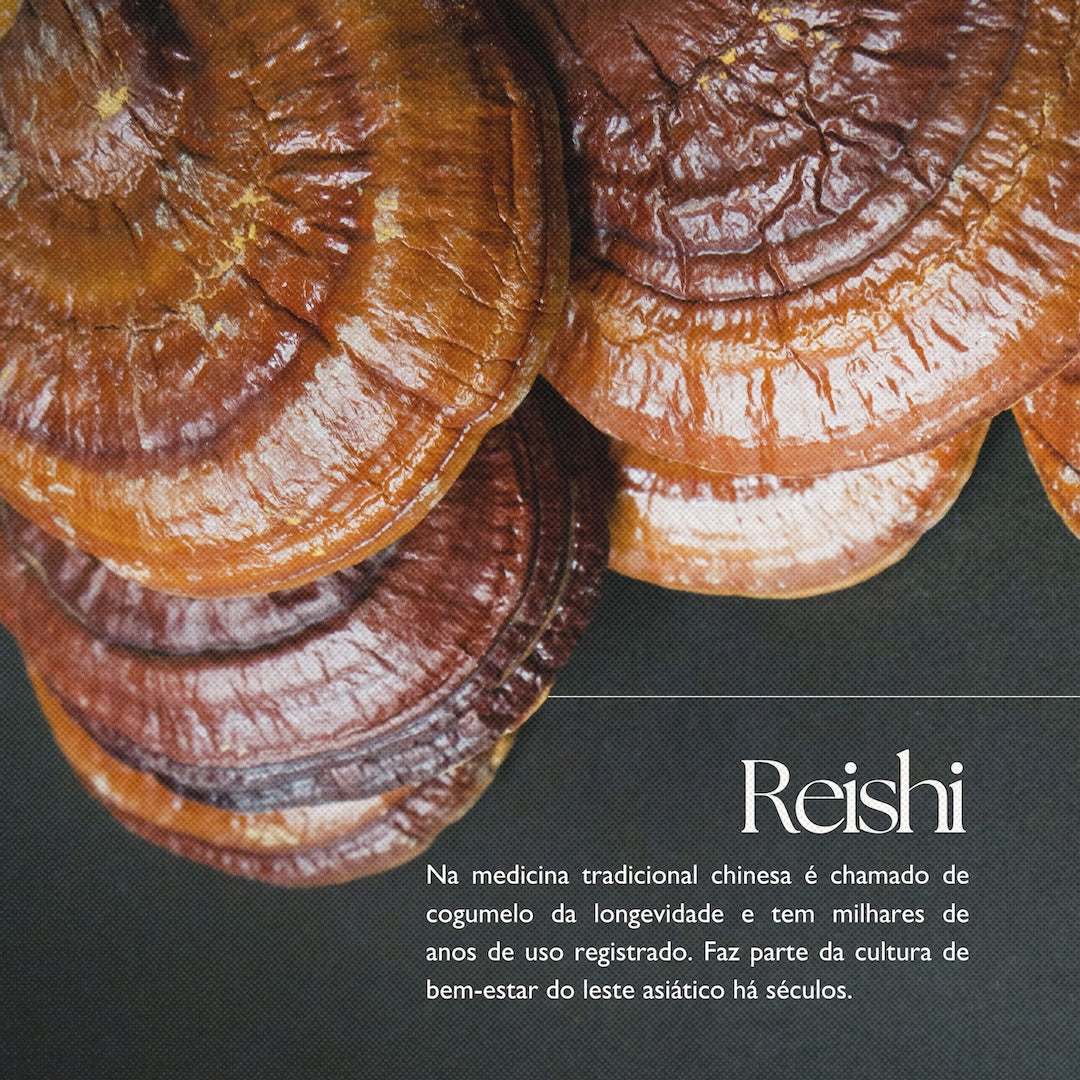 Cacau com Cogumelos Orgânico 100g