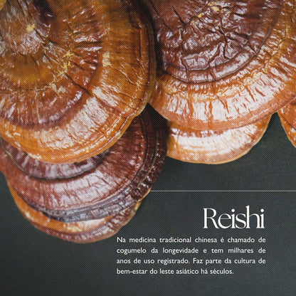 Cacau com Cogumelos Orgânico 100g
